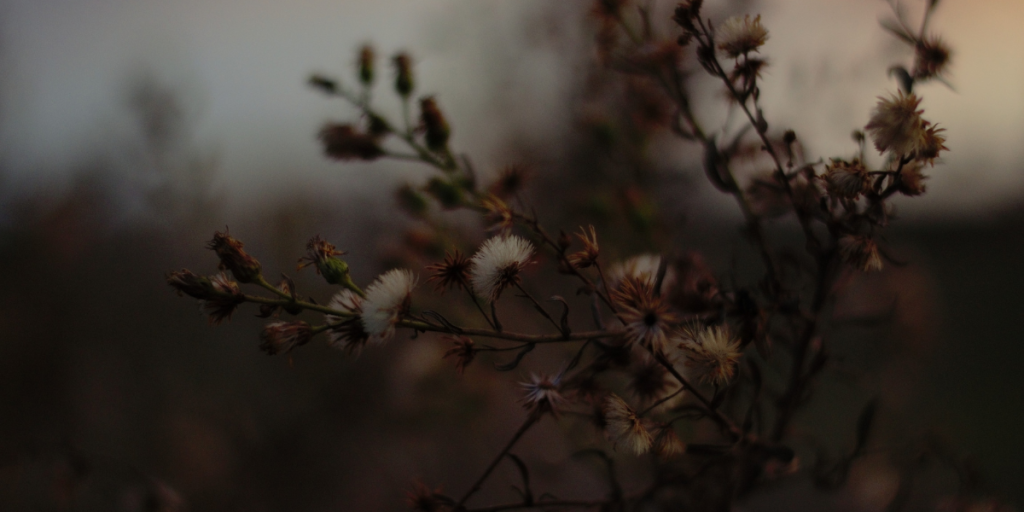 mysteriessetinthemidwest_novelsuspects